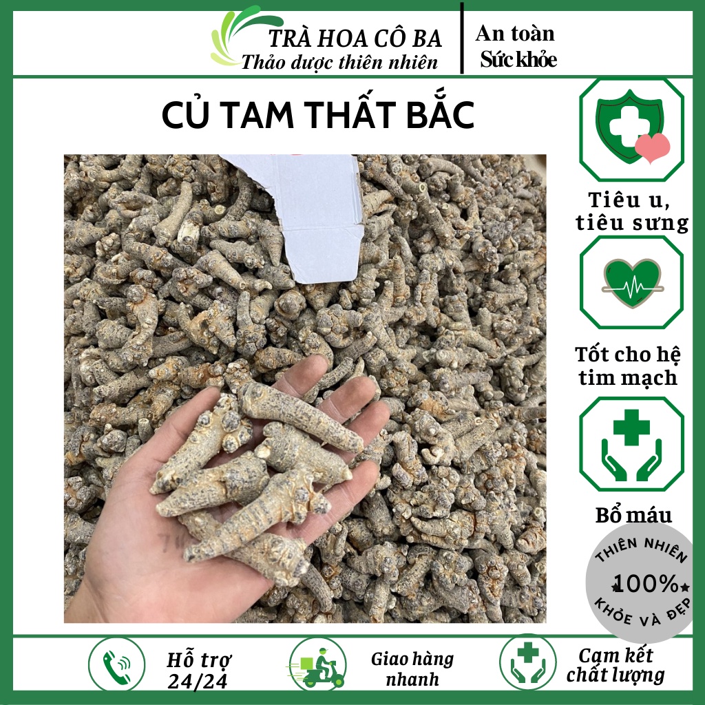 Củ tam thất bắc, bột tam thất giúp ngăn chặn khối u 500gr