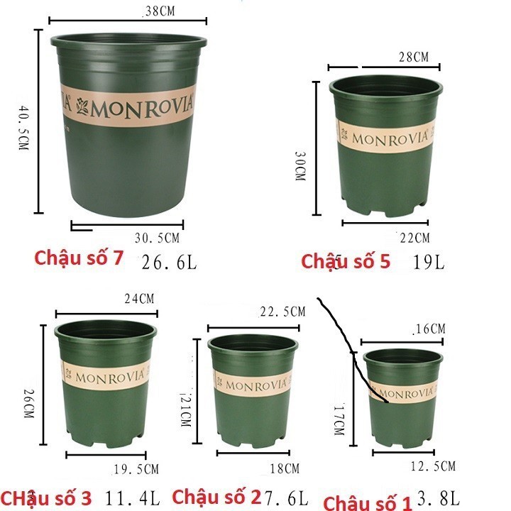 Chậu Nhựa Trồng Cây Cao Cấp Monrovia Cỡ Số 5 Kèm Đĩa Lót Đáy Chậu trồng cây thông minh