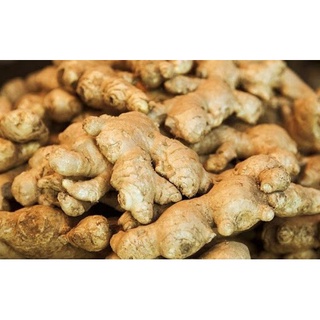 Củ Gừng Tươi 1Kg
