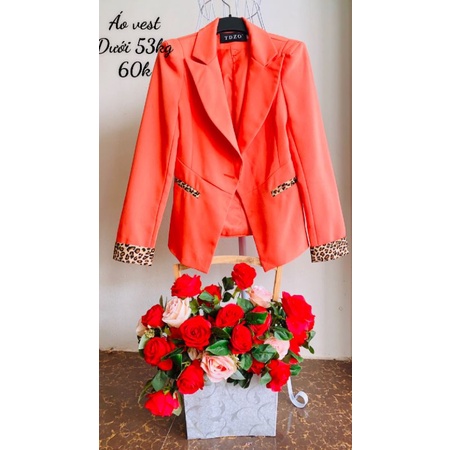 Áo vest kiểu