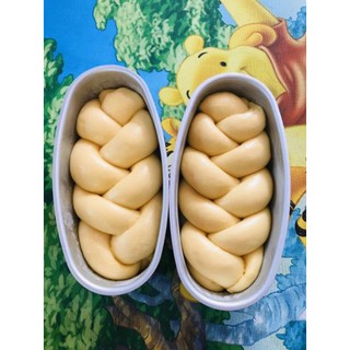 Khuôn Loaf Đúc Hình Oval D08