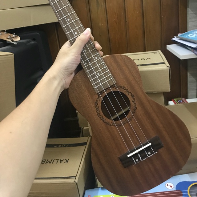 ĐÀN UKULELE CONCERT HOẠ TIẾT