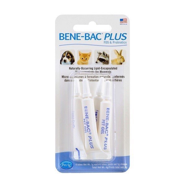 1 tuyp gel bene bac plus men tiêu hoá cho chó mèo , chim thỏ