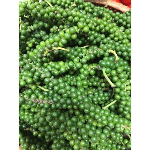 Hạt tiêu xanh tươi Đăk Lăk gói 150gr