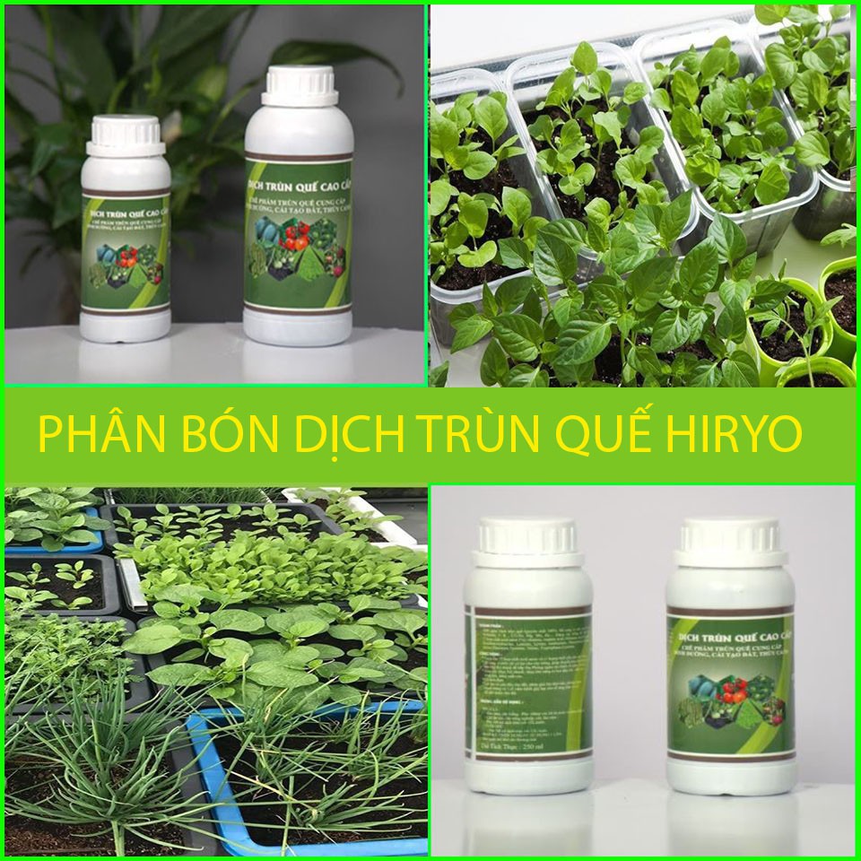 Dịch Trùn Quế Thủy Phân Cao Cấp-Chế phẩm sinh học cung cấp chất dinh dưỡng,cải tạo đất,thủy canh dung tích 500ml - 1 Lít