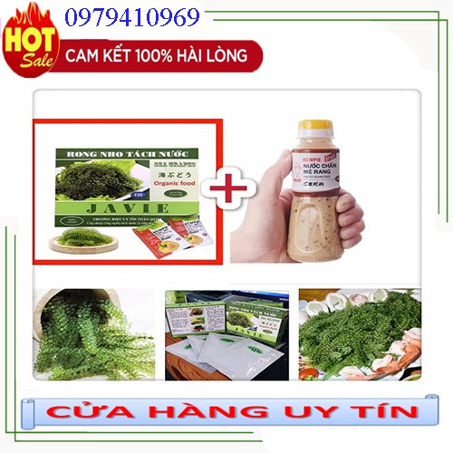 ⚡️𝐅𝐑𝐄𝐄 𝐒𝐇𝐈𝐏⚡️ [5 hộp] rong nho tách nước JAVIE loại 150gr/hộp + tặng 10 gói sốt mè. rong nho tách nước