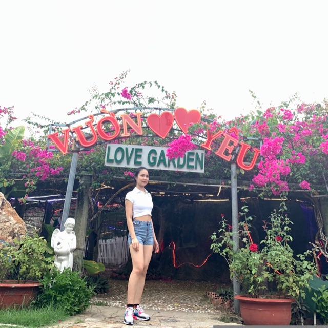 Đơn chị lai xuân