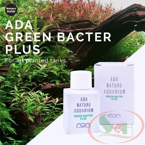 Hỗ Trợ Vi Sinh ADA Green Bacter Plus