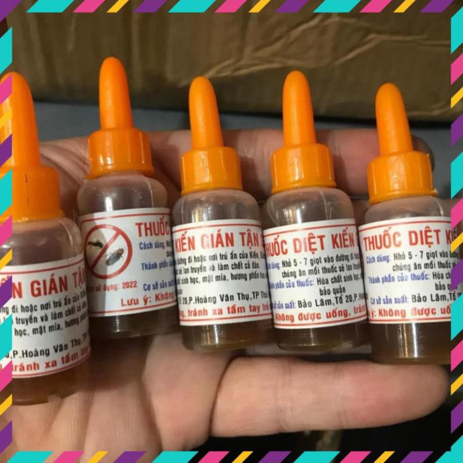 Diệt kiến-gián sinh học an toàn hàng Việt Nam, hiệu quả tức thì