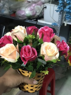 combo 40 cụm hoa cúc