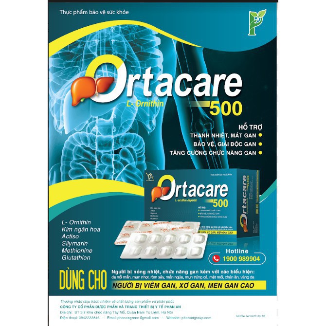 Giải độc gan Ortacare 500 - Giúp thanh nhiệt, mát gan, bảo vệ, giải độc gan, tăng cường chức năng gan (Hộp 60 Viên)