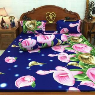 Bộ ga 1m8 x 30cm (nệm lò xo)