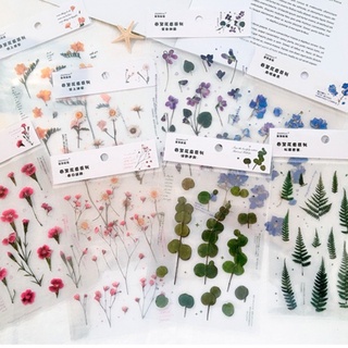 Tấm Dán Sticker Bông Hoa Trong Suốt Trang Trí Planner Bujo VER1