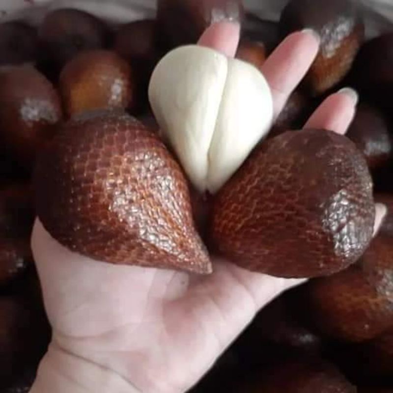 Trái MÂY INDO-trái mây bali, mây indo ngọt thơm,giòn