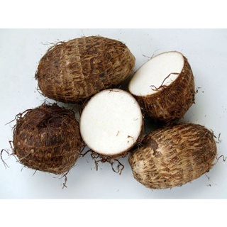 Khoai sọ, khoai môn bở, dẻo thơm ngon- hàng chất lượng