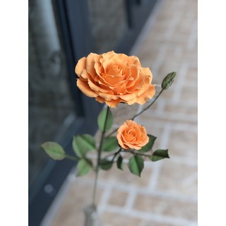 Hoa hồng đất sét