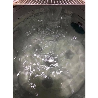 Viên tẩy lồng giặt Đức