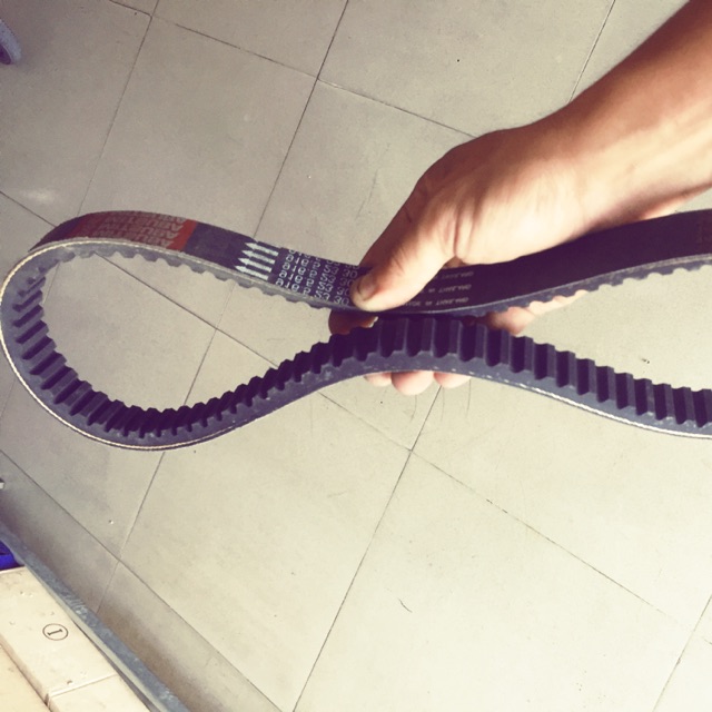 Dây curoa SH nhập, @, Dylan