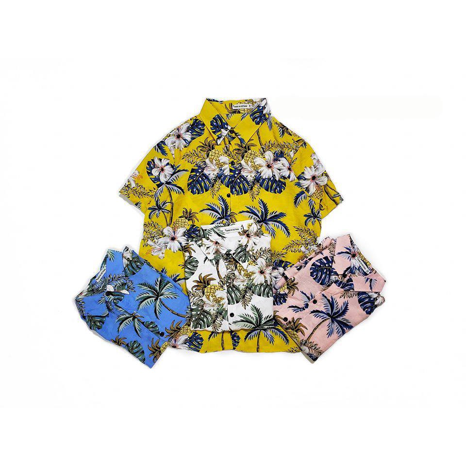 Áo Sơ Mi Hawaii Thơm Dừa 5 màu