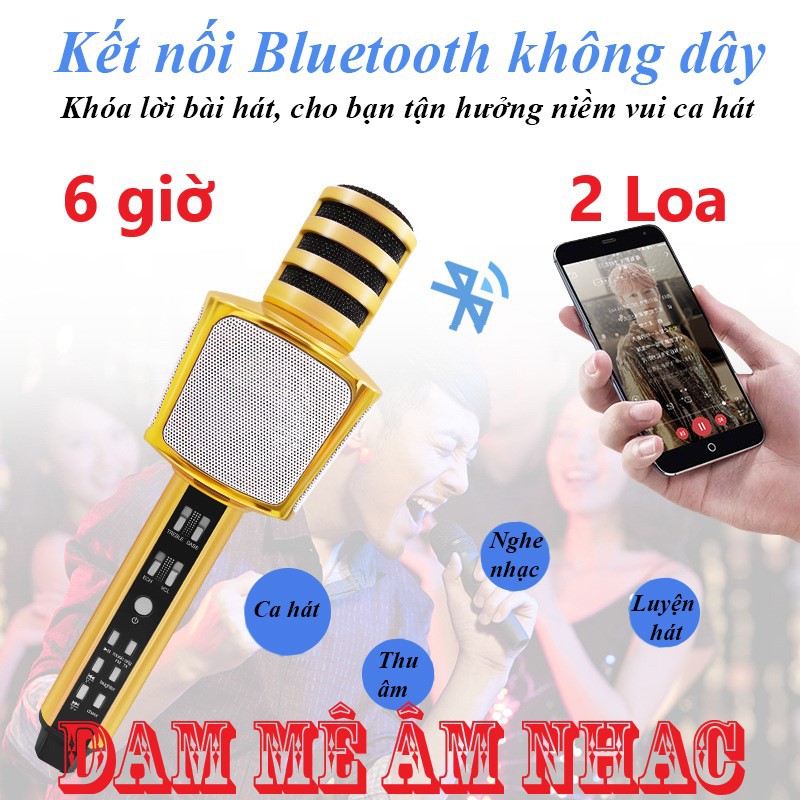 Top 5 Micro Karaoke Bluetooth Đáng Mua Nhất, SDRD SD-17 Micro Karaoke Tích Hợp Loa Bluetooth