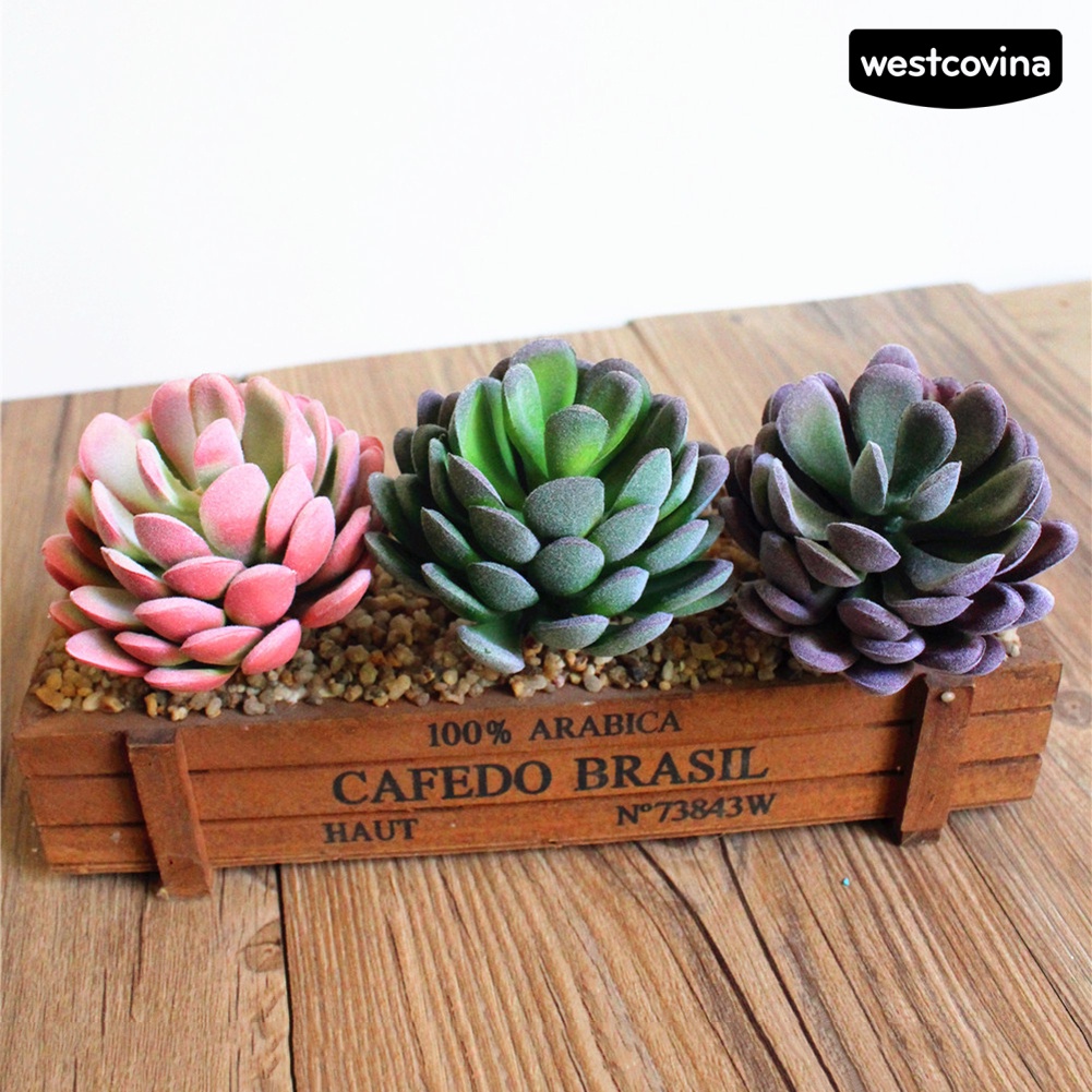 Cây sen đá giả trang trí nhà ở quán cà phê