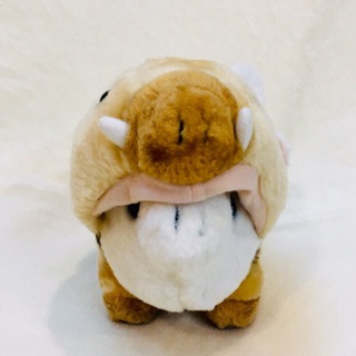 Gấu bông heo rừng.