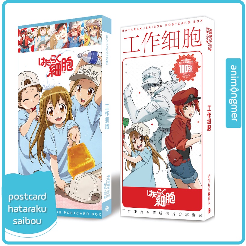 Postcard hataraku saibou