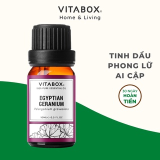 Tinh dầu Phong Lữ Ai Cập Vitabox - 100% thiên nhiên nguyên chất - Pure natural essential oil