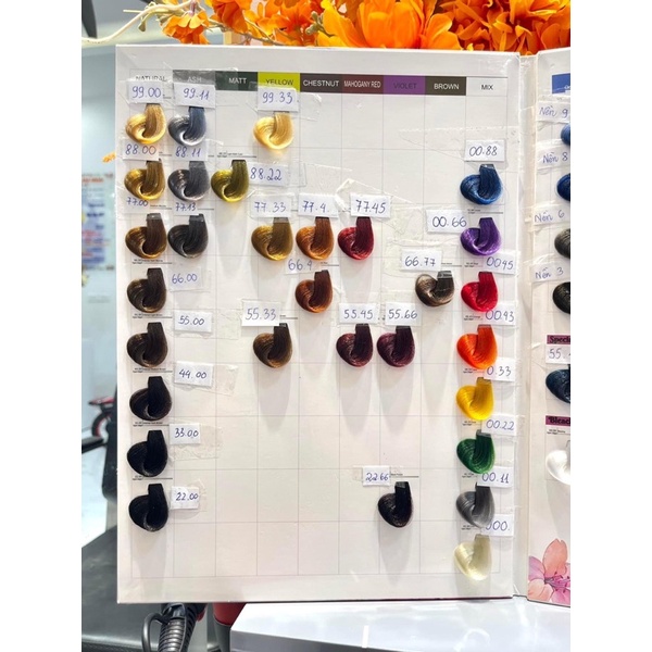 Bảng Màu TNT Nano - Bảng Màu TNT PLUS cho salon | TNT Hair Store -Thuốc Nhuộm Tóc TNT Chính Hãng