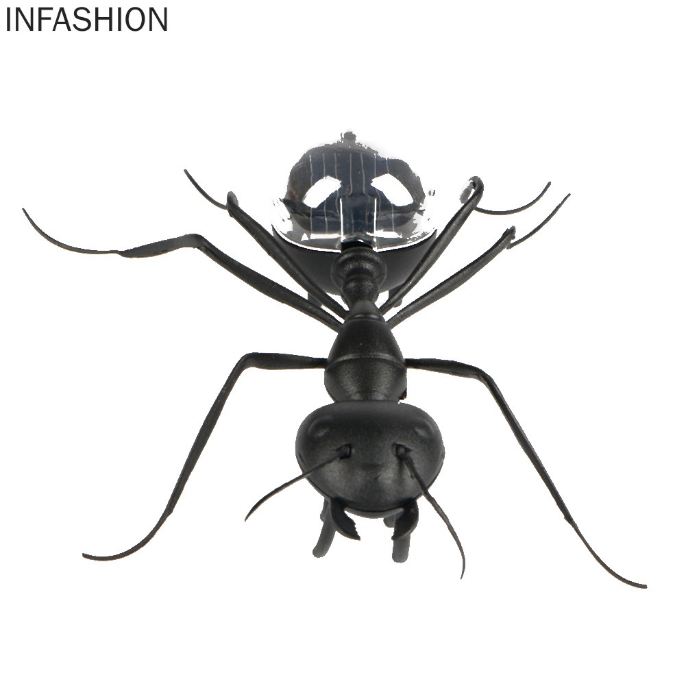 Con Gián Đồ Chơi Sử Dụng Năng Lượng Mặt Trời Cho Bé