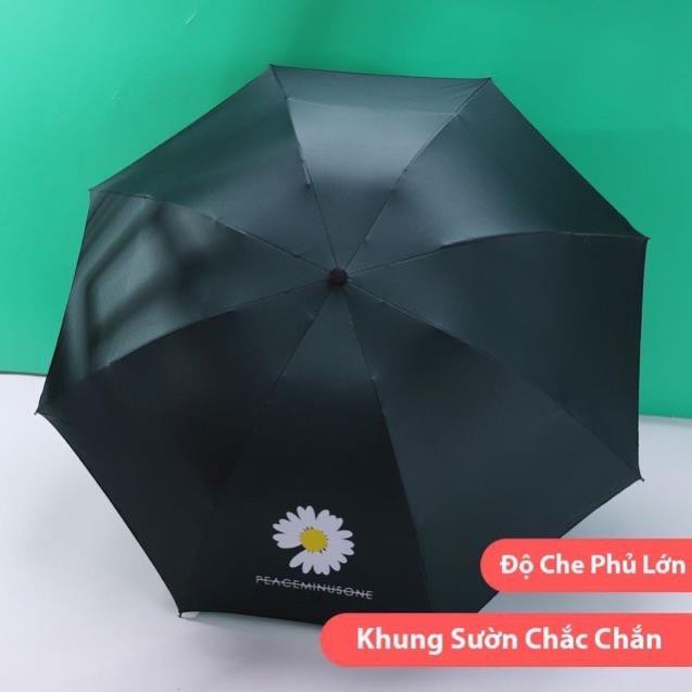 [TẶNG TẨY GIÀY PLAC] Ô Dù Hàn Quốc Chống Tia UV Hình Hoa Cúc, Chất Liệu Vải Dù Mật Độ Cao, Chống Nước Tuyệt Đối