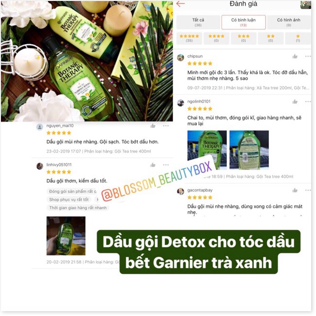 [Mã giảm giá mỹ phẩm chính hãng] Bộ dầu gội kiềm dầu Tea tree Botanic Therapy GARNIER