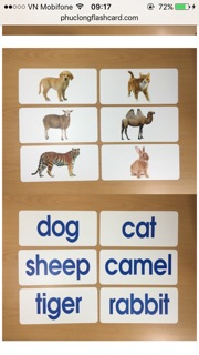 bộ thẻ flashcard dạy tiếng anh cho bé