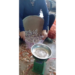 1KG tỏi cô đơn