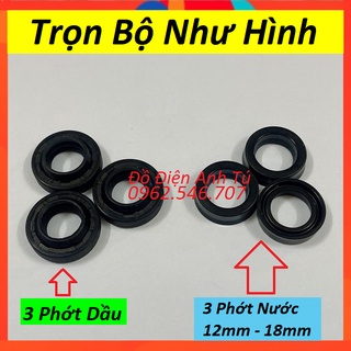 Bộ phớt máy rửa xe mini 3 phớt dầu và 3 phớt nước 12-18mm