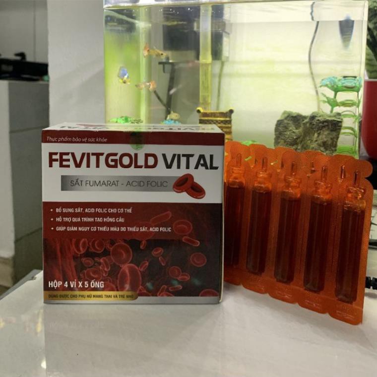 Fevitgold Vital bổ sung sắt và acid folic, giảm thiếu máu do thiếu sắt, hỗ trợ quá trình tạo máu
