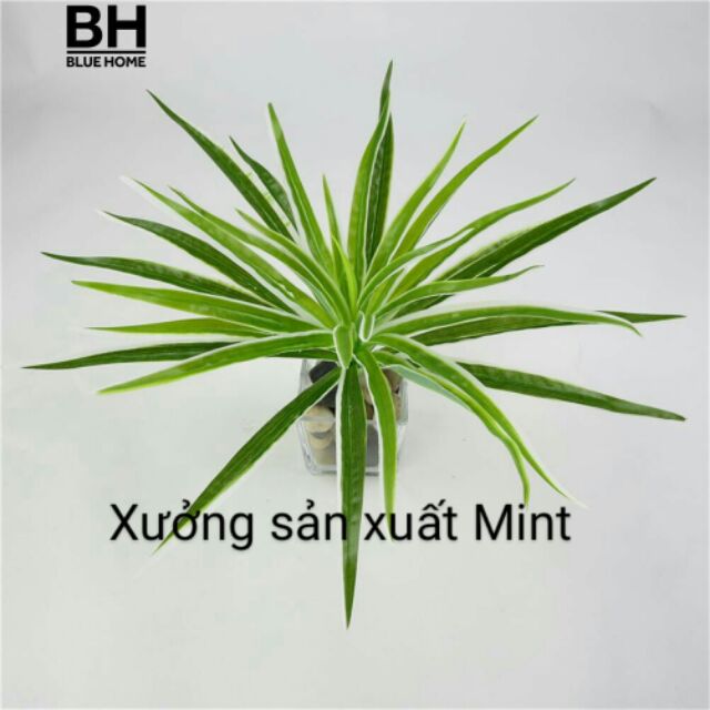 Cỏ mỹ bụi trang trí - Cây cỏ giả