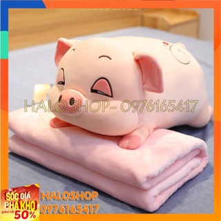 Chăn gối 2in1 hình heo