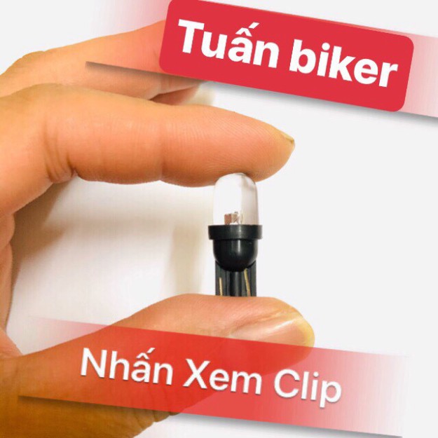 Đèn Led Xi Nhan Demi 7 Màu < Giá 1 đôi>