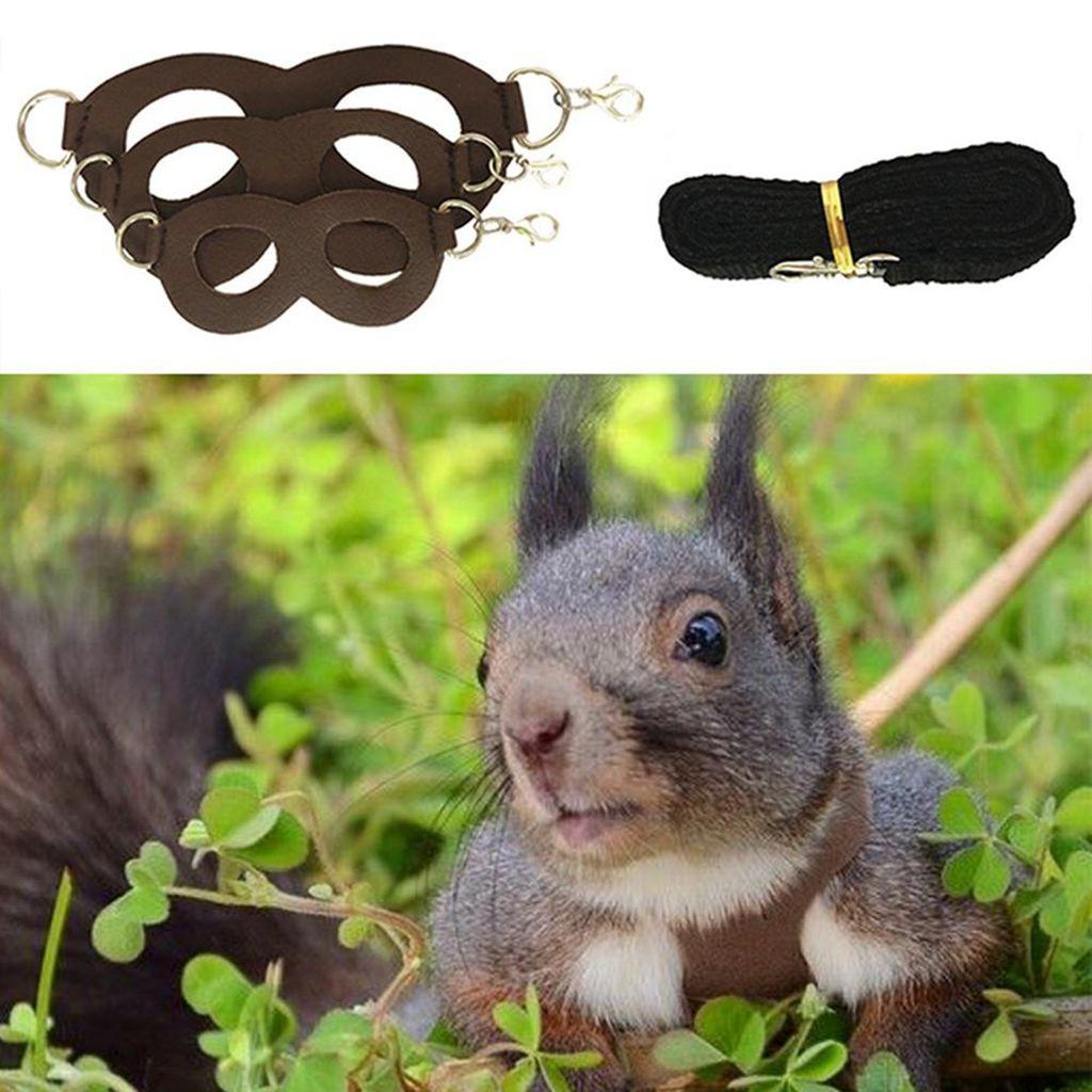 Giovanni Dây Dắt Thú Cưng Đi Dạo 3 Kích Cỡ Tùy Chỉnh Tiện Dụng