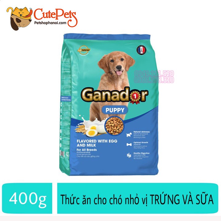 [3kg] Ganador Thức ăn hạt cho chó con trứng sữa và DHA