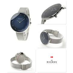 [GIÁ HỦY DIỆT - Chính Hãng - Free ship - Không ưng hoàn tiền] Đồng hồ nữ Skagen Skw2293 dây thép lưới 3 kim, BESTPRICE