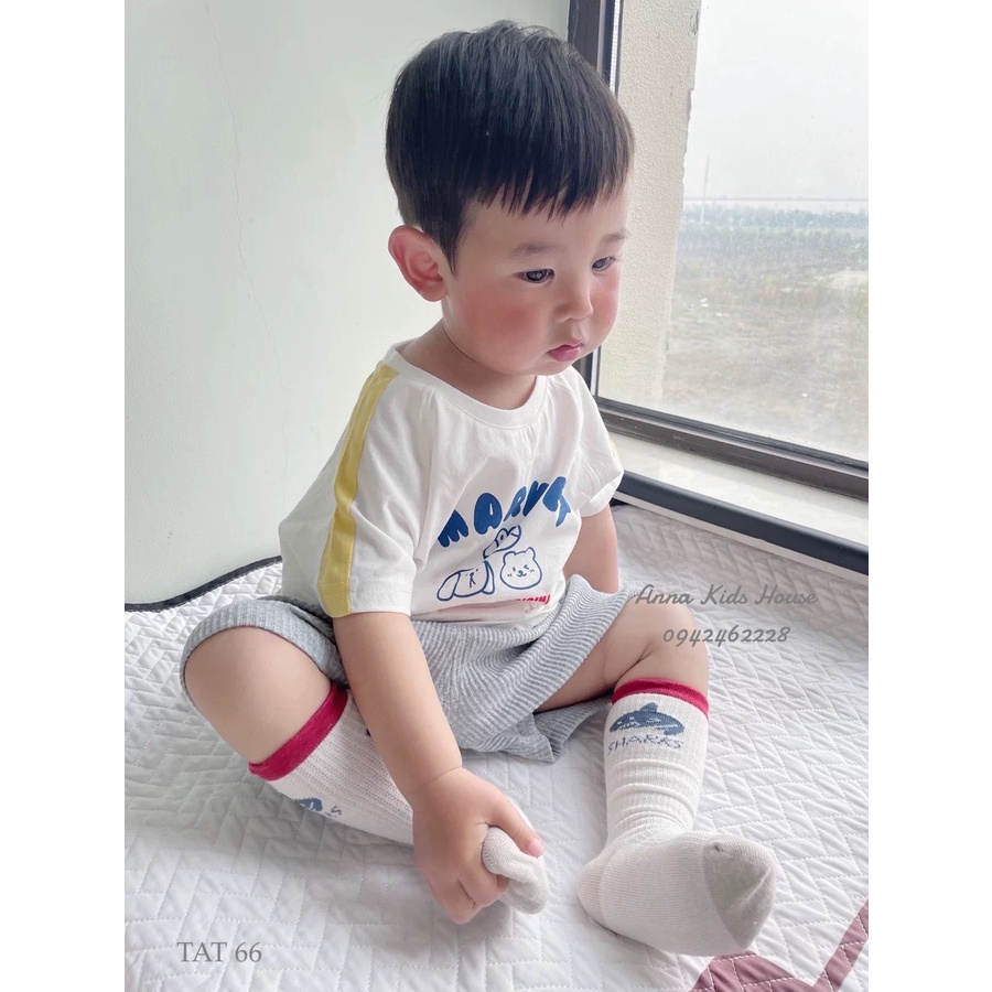 TAT 66 : Set 3 Đôi tất cực xinh cho bé