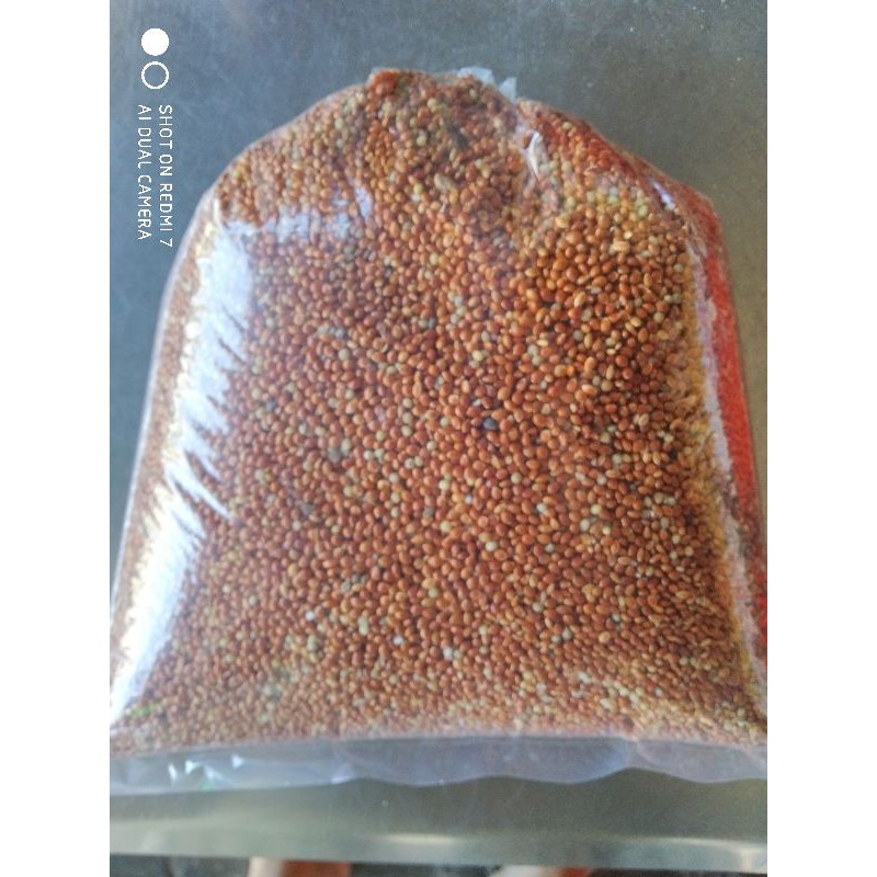 Hạt kê đỏ lớn 1 kg