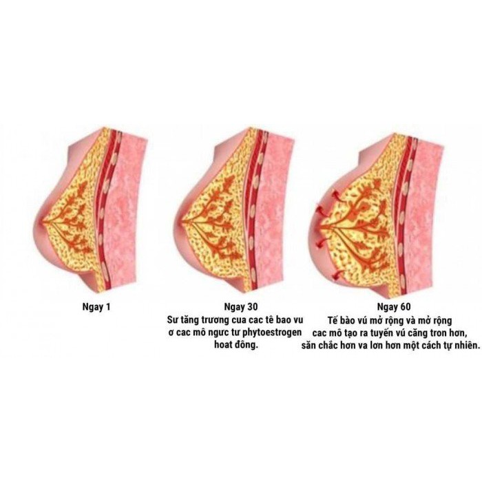 Kem nở ngực Upzise chuẩn Loại 1 | BigBuy360 - bigbuy360.vn