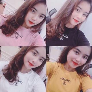 Áo thun thái body cao cấp