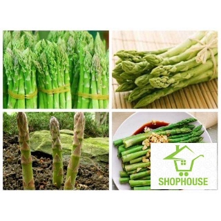shophouse Gói 50 Hạt giống măng tây xanh  SHOP HOUSE  TẾT KHUYẾN MẠI