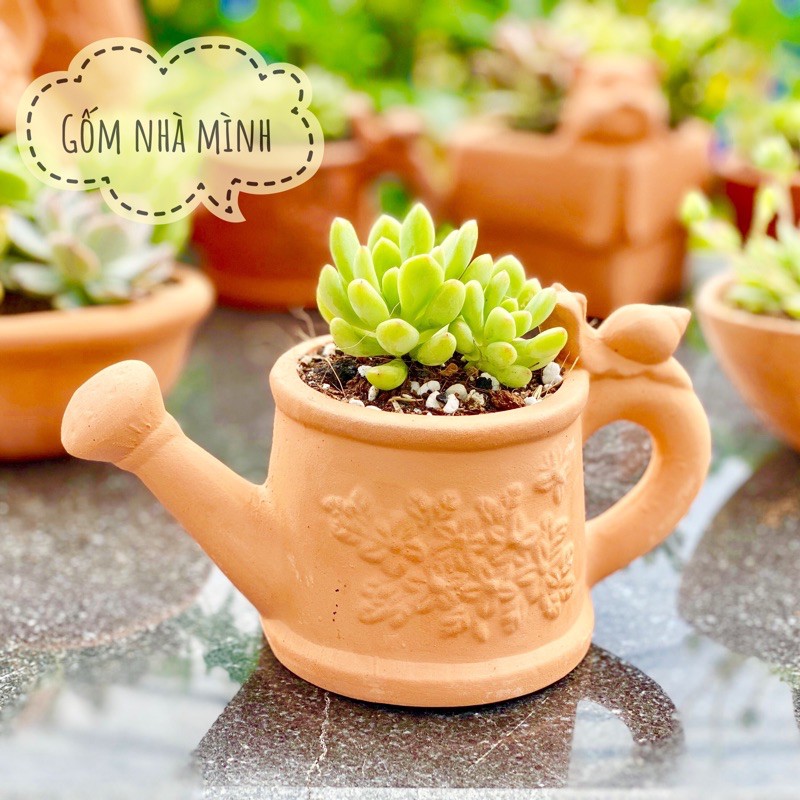 Chậu Bình Tưới đất nung