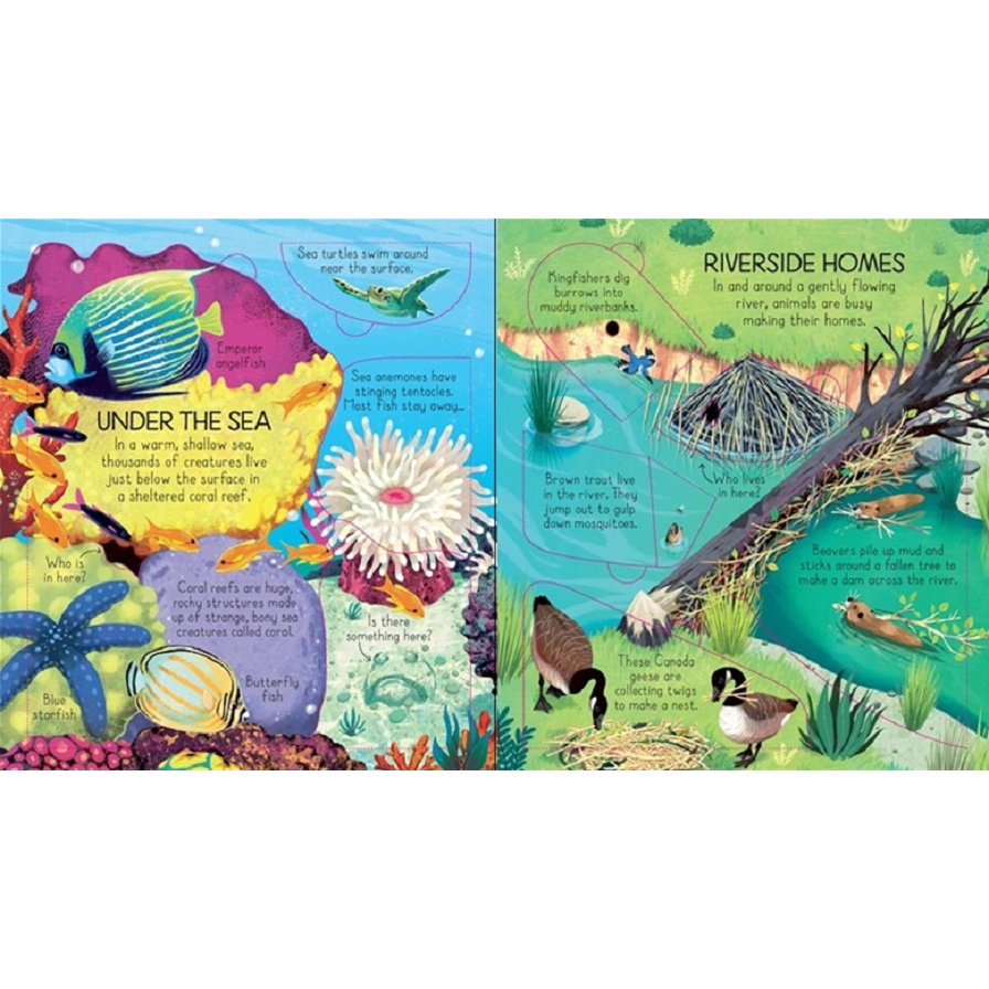 Sách Usborne - tương tác lật mở cho bé 6-8 tuổi Look inside Animal Homes