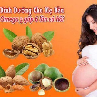 Hạt macca nhập khẩu úc